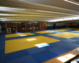 Dix-huit internationales prennent position sur la Judo Pro League