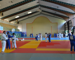 Les juniors féminines finalisent leur préparation