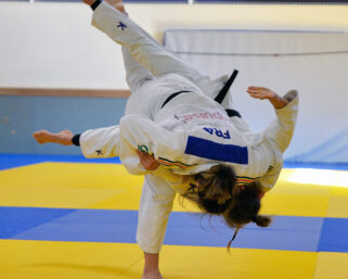 Enquête : quels sont vos choix et préférences en judo ?