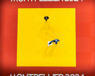 Champions League 2024 : un club français en remplace un autre