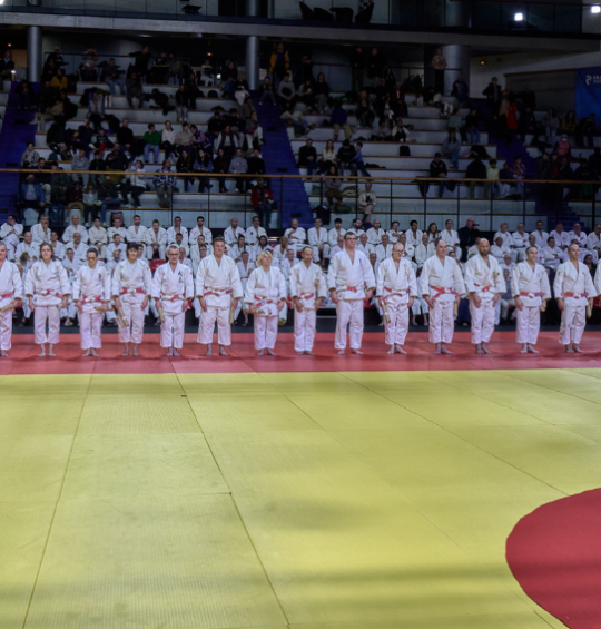 Hauts grades : six nouveaux huitième dan, deux nouveaux neuvième dan